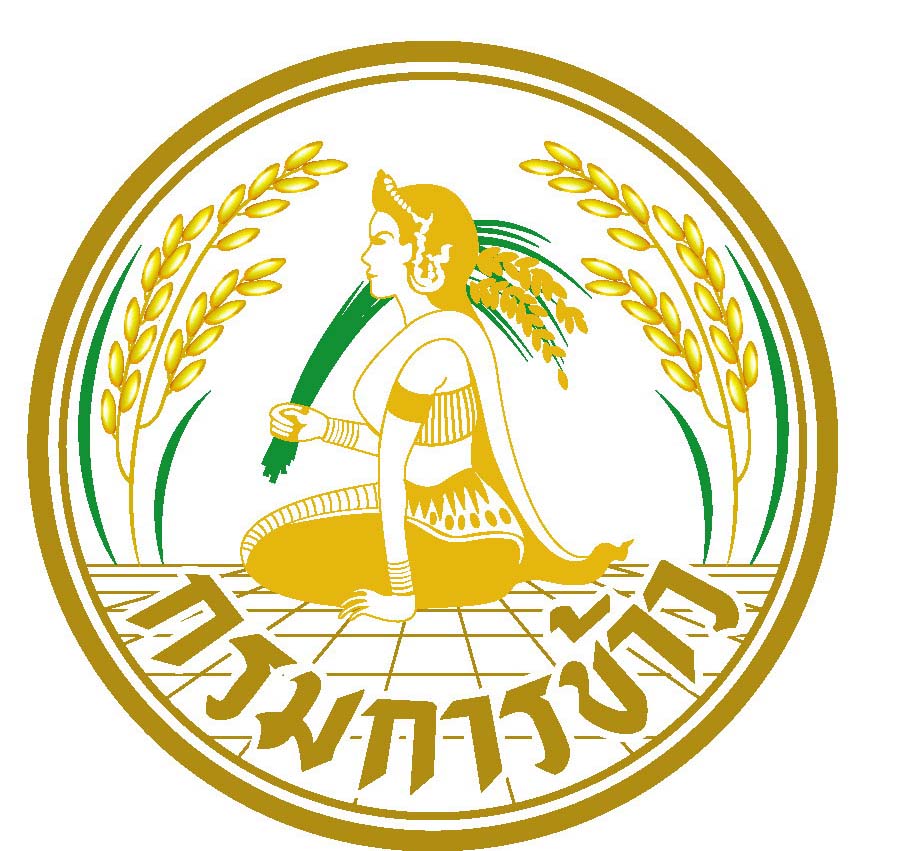 กรมการข้าว